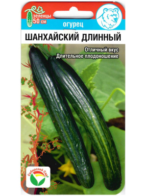 Огурец Шанхайский длинный [Сибирский сад] купить с доставкой Огурец Шанхайский длинный – это элегантный представитель азиатских сортов, привлекающий внимание своей изящной удлинённой формой и насыщенным изумрудным цветом. Его поверхность покрыта мелкими бугорками, что придаёт ему характерный внешний вид. Сочный, хрустящий, с тонкой кожицей и сладковатым вкусом, этот огурец идеально подходит как для свежих салатов, так и для разнообразных кулинарных экспериментов.Шанхайский длинный – это выбор для тех, кто ценит красоту, вкус и удобство выращивания!