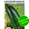 Огурец Шанхайский длинный [Сибирский сад]