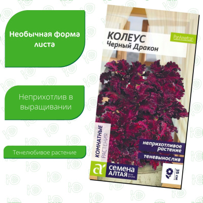 Колеус Черный Дракон [Семена алтая] купить с доставкой колеус черный дракон не просто так получил свое название