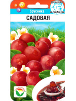 Брусника Садовая [Сиб сад]