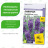 Лаванда Пурпурный колос английская [Семена алтая] купить с доставкой - Лаванда Пурпурный колос английская [Семена алтая] купить с доставкой