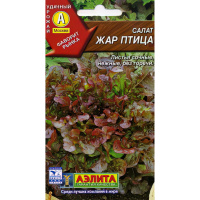 Салат Жар птица листовой [Аэлита]