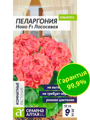 Пеларгония Нано Лососевая [Семена алтая] купить с доставкой лучшая карликовая пеларгония, безупречная по всем параметрам