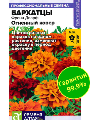 Бархатцы Френч Дварф Огненный ковер [Семена алтая] купить с доставкой настоящая огненная феерия для вашего сада. Яркие цветы в насыщенных оттенках красного, оранжевого и жёлтого создают плотный ковер из переливов тёплых цветов.
