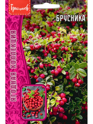 Брусника 0,05г.[Семена редких растений] купить с доставкой 