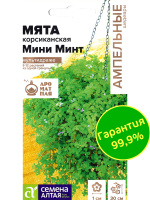 Мята Мини минт декоративная корсиканская [Семена алтая]