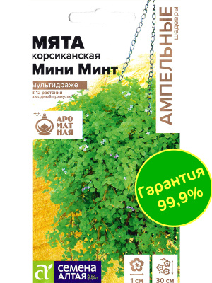 Мята Мини минт декоративная корсиканская [Семена алтая] купить с доставкой Мята корсиканская Мини Минт — это изысканное и изящное растение, способное привнести свежесть и утончённый аромат в ваш сад или интерьер. Её миниатюрные листья образуют плотный, густой ковёр зелени, который источает мягкий мятный аромат. Цветение сопровождается мелкими розовыми цветками, придающими растению декоративность. Идеально подходит для тех, кто ценит компактность, красоту и практичность. Это очаровательное растение для создания живых ароматных ковров, декора балконов или использования в кулинарных экспериментах.