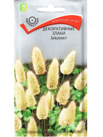 Декоративные злаки Зайцехвост [Поиск]