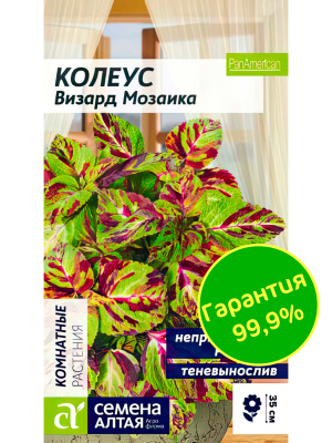 Колеус Визард Мозаика [Семена алтая] 1с купить с доставкой Свое название он получил за оригинальный внешний вид и роскошный «мраморный» окрас бордово-зеленых листьев.