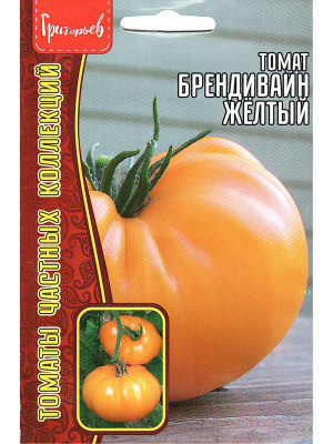 Томат Брендивайн Желтый [Семена редких растений] купить с доставкой Крупноплодный среднеспелый сорт, который отличается яркими золотисто-жёлтыми плодами весом до 600 граммов. Сочные и мясистые помидоры обладают насыщенным сладким вкусом с лёгкими фруктовыми нотками и идеально подходят для свежих салатов и домашних блюд.