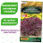 Базилик Фиолетовый шар декоративный [Аэлита] купить с доставкой - Базилик Фиолетовый шар декоративный [Аэлита] купить с доставкой