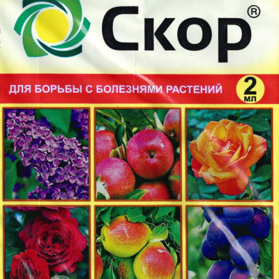 Скор 2мл [Ваше Хозяйство] купить с доставкой 