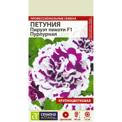 Петуния Пируэт Пикоти Пурпурная махровая [Семена алтая] купить с доставкой прекрасное крупноцветковое махровое гибридное растение, которое имеет восхитительные яркие цветы