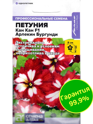 Петуния Кан Кан Арлекин Бургунди [Семена алтая] купить с доставкой 
