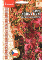 Колеус Colocha Mix [Семена редких растений]