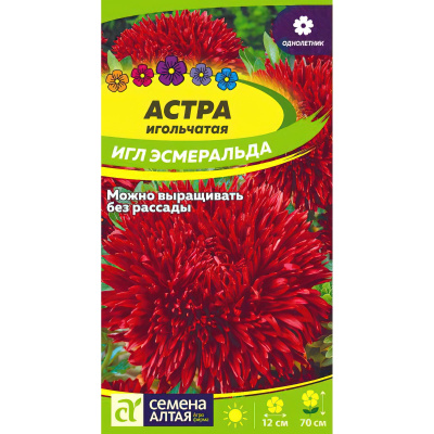 Астра Эсмеральда Игл [Семена алтая] купить с доставкой эффектный высокорослый сорт астры с массой пышных и ярких соцветий винно-малинового цвета