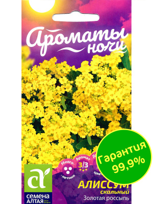 Алиссум Золотая Россыпь [Семена алтая] купить с доставкой Алиссум скальный Золотая россыпь - одно из самых красивых почвопокровных растений, используемое для создания удивительно красивых цветочных композиций. При цветении он создает густой, ажурный солнечно-желтый ковер, делающий садовые клумбы яркими и нарядными. Алиссум Золотой Ковер превосходно смотрится на альпийских горках, вдоль садовой дорожки или на клумбе, отлично справляясь с ролью главного украшения цветника.
