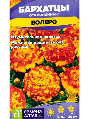Бархатцы Болеро махровые [Семена алтая] купить с доставкой Болеро - один из лучших сортов махровых бархатцев, радующий глаз изумительными соцветиями красно-коричневого цвета с солнечно-желтыми вкраплениями. Это очаровательное обильноцветущее растение радует длительным и красочным цветением.