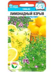 Тимьян Лимонадный взрыв [Сибирский сад]