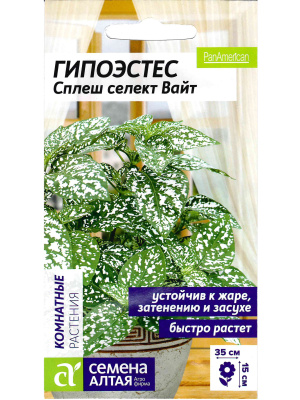 Гипоэстес Сплеш селект Вайт [Семена алтая] купить с доставкой 
