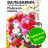 Бальзамин Супер Эльфин Райская Смесь [Семена алтая] купить с доставкой - Бальзамин Супер Эльфин Райская Смесь [Семена алтая] купить с доставкой