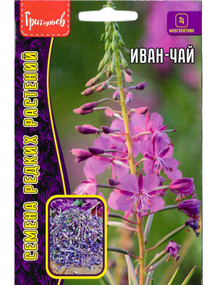 Иван-Чай многолетник [Семена редких растений] купить с доставкой Иван-чай или Кипрей узколистный не только невероятно красивое, но и в такой же степени полезное лекарственное растение. Благодаря Иван-чаю люди на Руси имели богатырское здоровье. Он украсит ваш сад своими потрясающими цветами, а так же добавит ненавязчивый, нежный аромат и вкус в чай и не только.