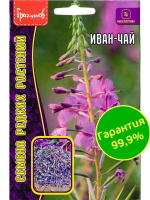 Иван-Чай многолетник [Семена редких растений]