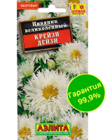 Нивяник Крейзи Дейзи махровый [Аэлита]