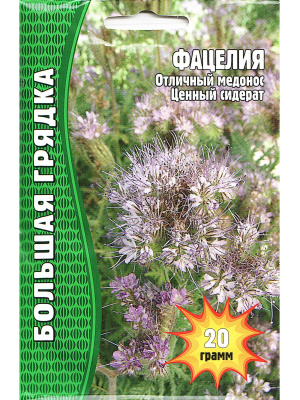Фацелия 20г. [Семена редких растений] купить с доставкой Является отличным медоносом, способствуя увеличению урожайности соседних культур за счёт привлечения опылителей; используется как сидерат, обогащая почву органикой и азотом, улучшая структуру и плодородие грунта.