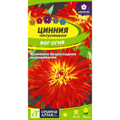 Цинния Бог Огня кактусовидная [Семена алтая] купить с доставкой яркое и красочное украшение многих садов и террас
