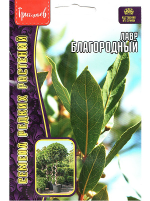 Лавр Благородный [Семена редких растений] купить с доставкой Изящные кожистые листья насыщенно-зелёного цвета источают яркий пряный аромат, который мгновенно переносит в атмосферу Средиземноморья.