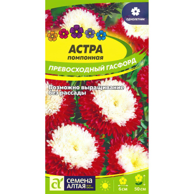 Астра Превосходный Гасфорд помпонная [Семена алтая] купить с доставкой очаровательную помпонную астру превосходный гасфорд нельзя назвать скромной красавицей