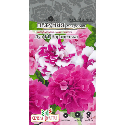 Петуния Карамелька махровая Дуо [Семена алтая] купить с доставкой очаровательная многоцветковая петуния, полюбившаяся многим садоводам