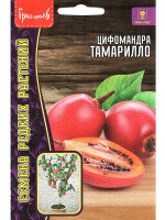 Цифомандра Томарилло Томатное дерево [Семена редких растений]
