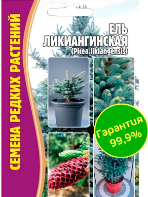Ель Ликиангинская [Семена редких растений] купить с доставкой Своё название вид получил в честь китайского города Лицзян.