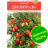 Томат Десперадо [Аэлита] купить с доставкой - Томат Десперадо [Аэлита] купить с доставкой
