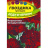 Гвоздика гренадин Леди в черном [Семена Алтая] купить с доставкой - Гвоздика гренадин Леди в черном [Семена Алтая] купить с доставкой