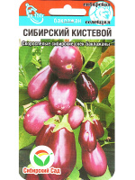 Баклажан Сибирский кистевой [Сибирский сад]