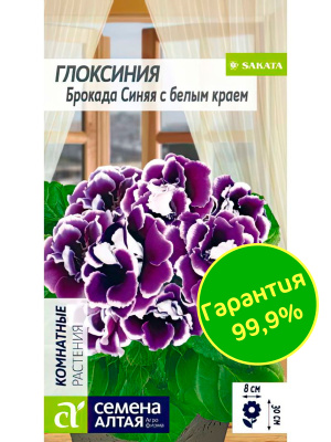 Глоксиния Брокада Синяя с белым краем [Семена алтая] купить с доставкой Ее цветы похожи на маленькие голубые розочки! Посадите эту сказочную махровую красавицу и создайте атмосферу Алисы в Стране Чудес прямо в своей квартире. Глоксиния Брокада Синяя с белым краем — невысокий кустик, который достигает 20-25 см в высоту и ширину.