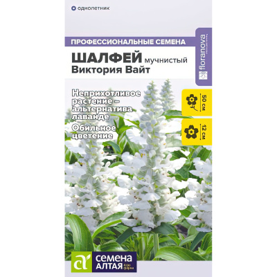 Шалфей Виктория Вайт мучнистый [Семена алтая] купить с доставкой Элегантные и стройные шпили соцветий, идеально ровные по высоте, гармонично вписываются в любой ландшафтный дизайн и кардинально преображают его.