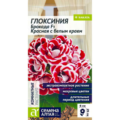 Глоксиния Брокада Красная с белым краем [Семена алтая] купить с доставкой Огненная махровая звездочка, которая будет сиять в вашей квартире все лето