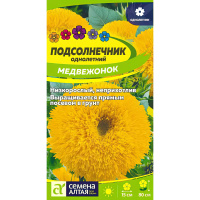 Подсолнечник Медвежонок [Семена алтая]