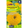 Подсолнечник Медвежонок [Семена алтая]