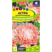 Астра Аполлония Шамоа [Семена алтая]