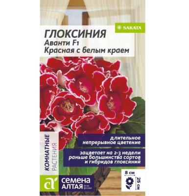 Глоксиния Аванти Красная с белым краем [Семена алтая] купить с доставкой Похожая на карамельный леденец эта глоксиния зацветает раньше всех среди немахровых сортов.