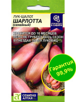 Лук Шалот Шарлотта [Семена алтая]