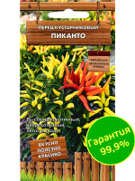 Перец Пиканто кустарниковый [Поиск]
