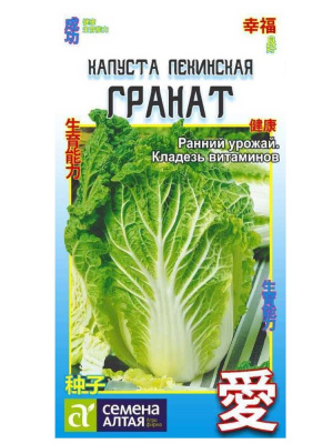 Капуста Пекинская Гранат [Семена алтая] купить с доставкой Капуста пекинская Гранат – это настоящий шедевр для вашего огорода. Ее сочные, нежные листья образуют плотные цилиндрические кочаны с ярким зеленым оттенком, которые радуют глаз и прекрасно подходят для разнообразных кулинарных шедевров. Этот сорт идеально сочетается в свежих салатах, гарнирах и закусках, добавляя блюдам изысканный вкус и хрустящую текстуру.