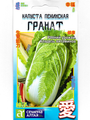 Капуста Пекинская Гранат [Семена алтая] купить с доставкой Капуста пекинская Гранат – это настоящий шедевр для вашего огорода. Ее сочные, нежные листья образуют плотные цилиндрические кочаны с ярким зеленым оттенком, которые радуют глаз и прекрасно подходят для разнообразных кулинарных шедевров. Этот сорт идеально сочетается в свежих салатах, гарнирах и закусках, добавляя блюдам изысканный вкус и хрустящую текстуру.