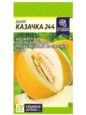 Дыня Казачка 244 [Семена алтая] купить с доставкой ​Дыня Казачка 244 – это яркий представитель ароматных и сладких сортов, который радует глаз золотисто-жёлтой кожурой с сетчатым узором. Её мякоть белоснежная, сочная, с насыщенным медовым вкусом и приятным ароматом, который напоминает солнечные летние дни. Дыня Казачка 244 – это выбор тех, кто ценит гармоничное сочетание вкуса, аромата и простоты выращивания.